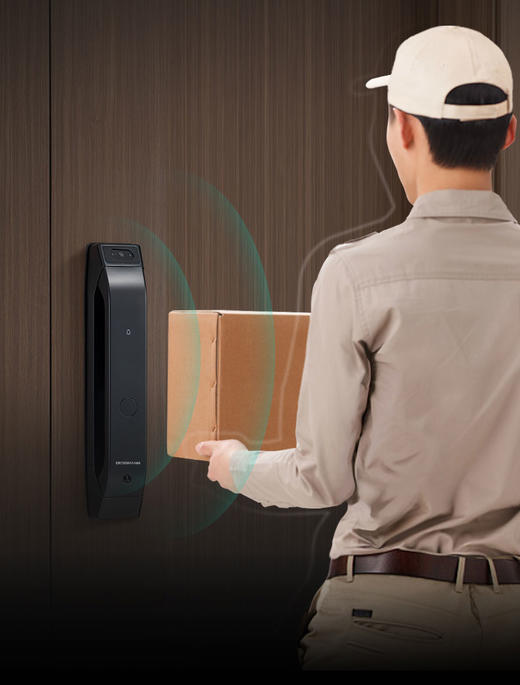 德施曼Q5mplus智能门锁 商品图1