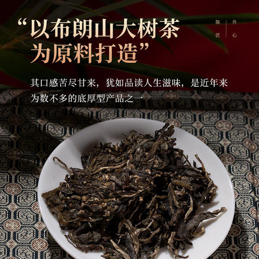 陈升号 2022年陈升匠心357g（生茶） 商品图4