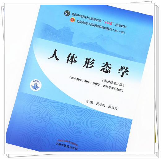 【出版社直销】人体形态学 武煜明 游言文 新世纪第二2版全国中医药行业高等教育十四五规划教材第十一版 中国中医药出版社 书籍 商品图2