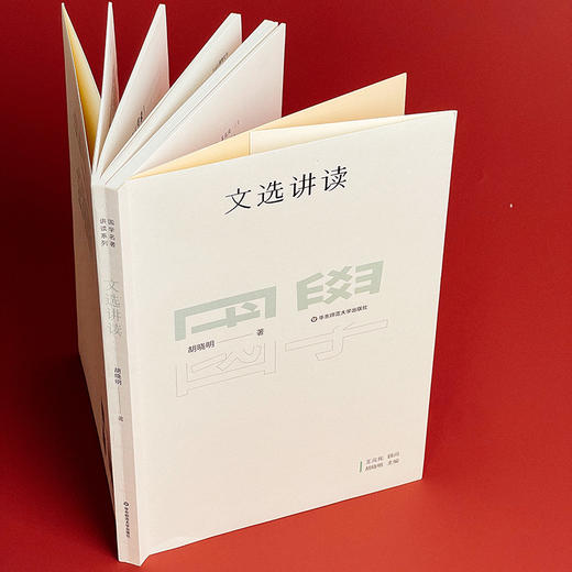 国学名著讲读系列 文选讲读 华东师范大学中文系名师解读国学经典 详细注释 难点分析 文史拓展 商品图6
