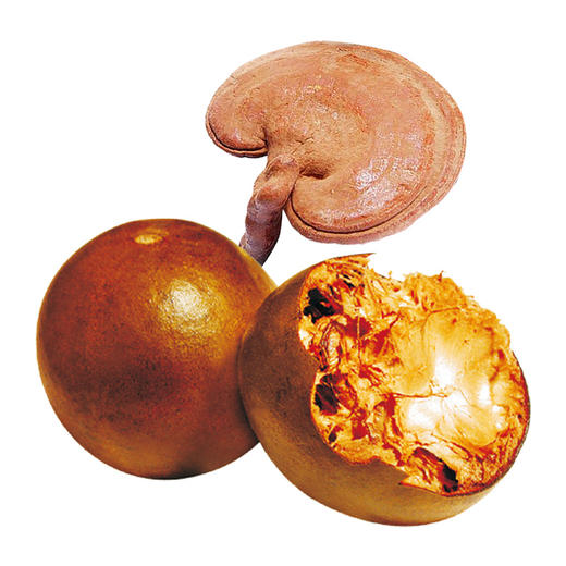 【林中宝】灵芝罗汉果代用茶2gX10 商品图4