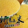 【自营】沂蒙山山地黄小米5斤 商品缩略图0