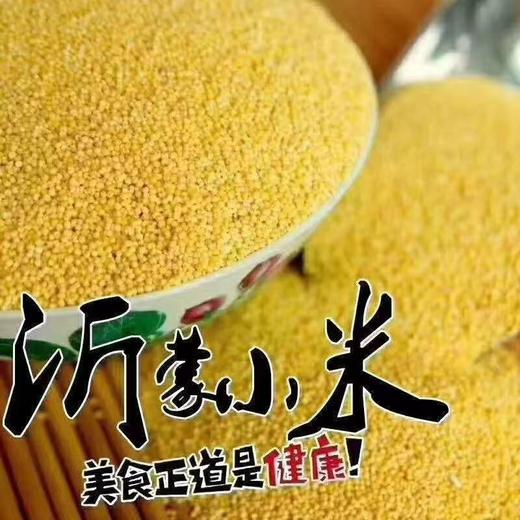 【自营】沂蒙山山地黄小米5斤 商品图0