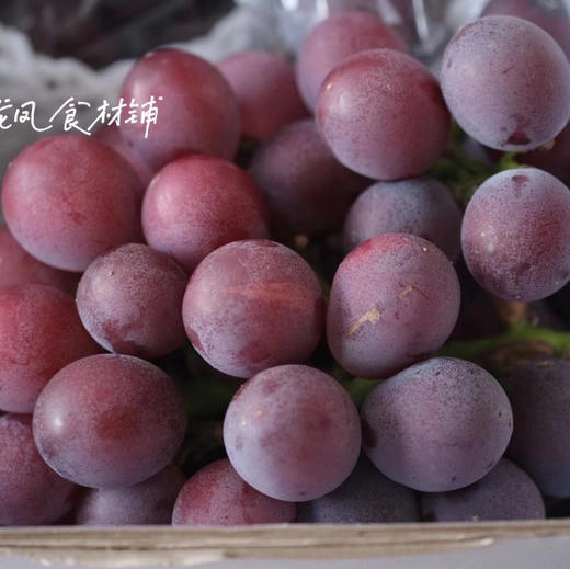 上海直发包邮06黑藤巨峰葡萄闪送发货