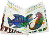 海马先生 英文原版绘本 Mister Seahorse 纸板书透视书 Eric Carle 艾瑞卡尔爷爷作品 父爱 育儿 亲子英语绘本 英文版 商品缩略图1