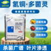 氢氧化铜多菌灵 防治西瓜枯萎病溃疡病角斑病专用农药杀菌剂 商品缩略图0