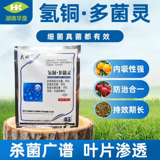 氢氧化铜多菌灵 防治西瓜枯萎病溃疡病角斑病专用农药杀菌剂 商品图0
