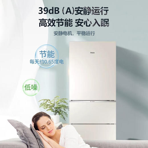 海尔/冰箱/BCD-220WMGL 商品图0