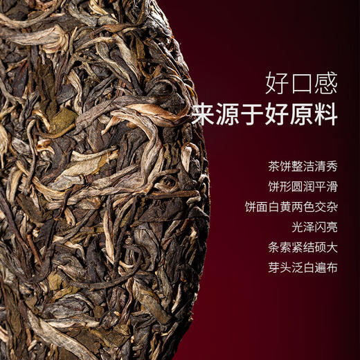 陈升号 2021年霸王青饼357g（生茶） 商品图2