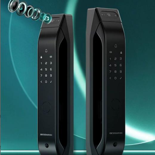 德施曼Q5mplus智能门锁 商品图0