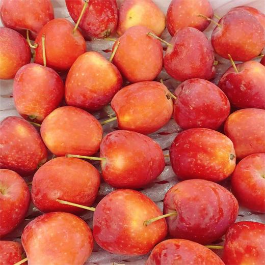 新疆海棠香槟果【大果】 |水果 商品图1