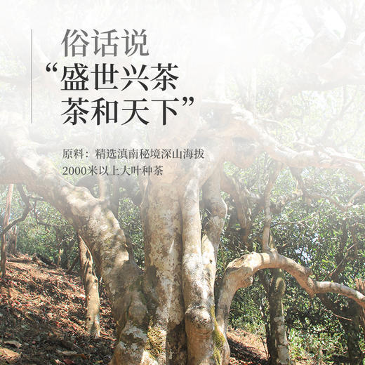 陈升号 2019年盛天下357g（生茶） 商品图5