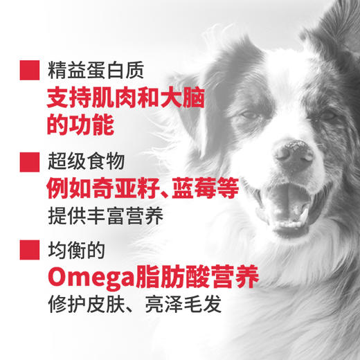 DiamondNaturals美国进口帝尔文天然系列成犬小幼犬期狗粮 商品图2
