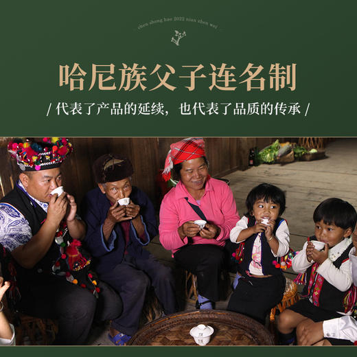 陈升号 2022年真味357g（生茶） 商品图6