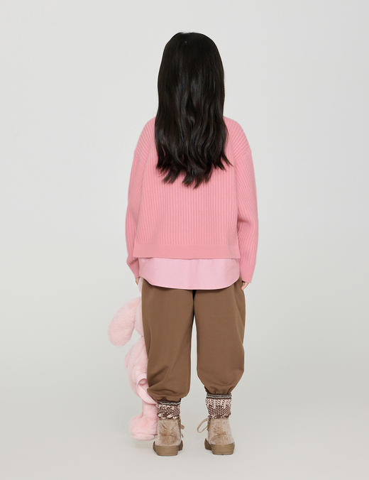 jnby  23年秋款  假俩件长袖套头毛衫  1N9313130 商品图5