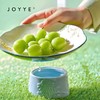 JOYYE盘梦里花沥水盘 商品缩略图2