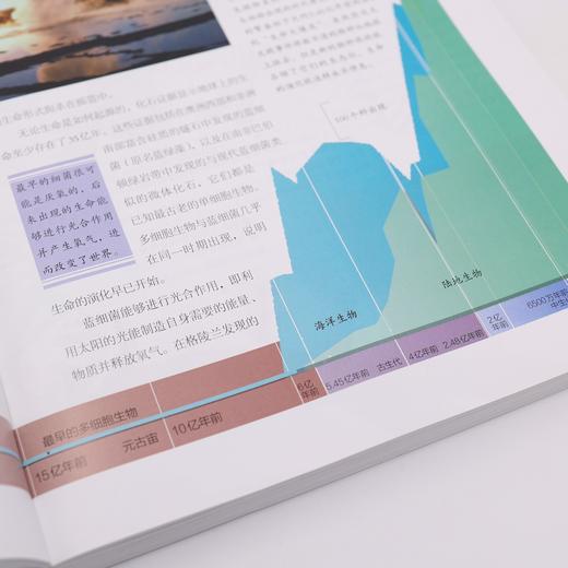 《地球生命的历程：修订版》 商品图12