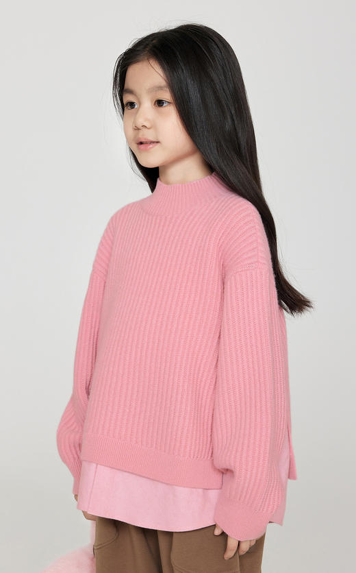 jnby  23年秋款  假俩件长袖套头毛衫  1N9313130 商品图3