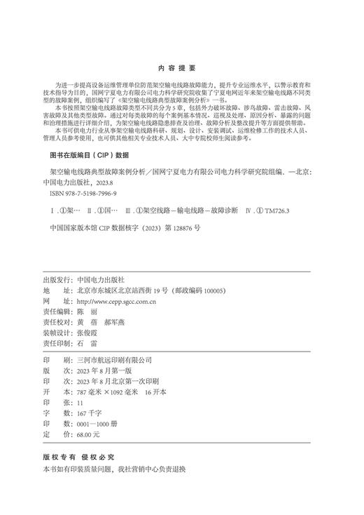 架空输电线路典型故障案例分析 商品图3