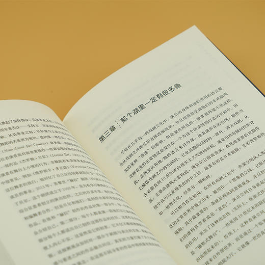 打碎哈姆雷特的镜子：戏剧与现实 商品图2