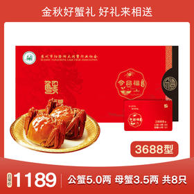 今品福 阳澄湖大闸蟹3688型（4对 公蟹5.0两、母蟹3.5两）[福利品]
