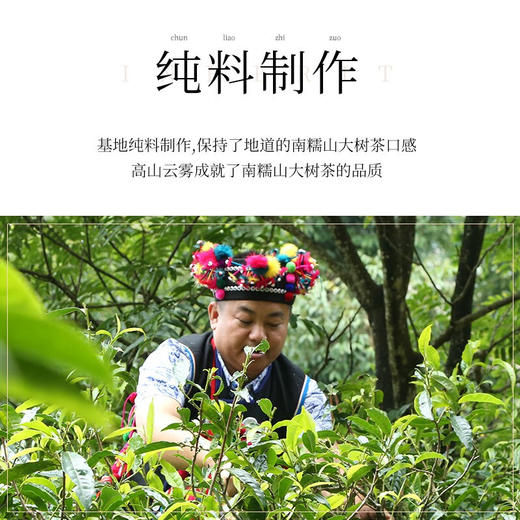陈升号 2019年南糯大树357g（生茶） 商品图3