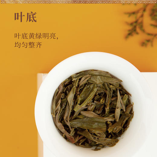 陈升号 2020年那卡砖茶250g（生茶） 商品图3