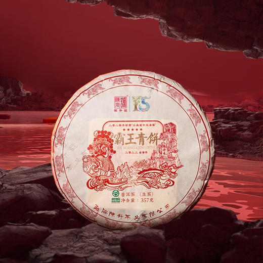 陈升号 2022年霸王青饼357g（生茶） 商品图5