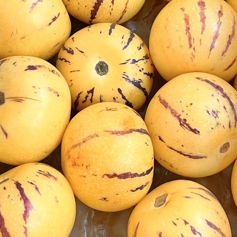 【云田人参果】清甜多汁