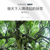 陈升号 2020年初心200g（生茶） 商品缩略图4