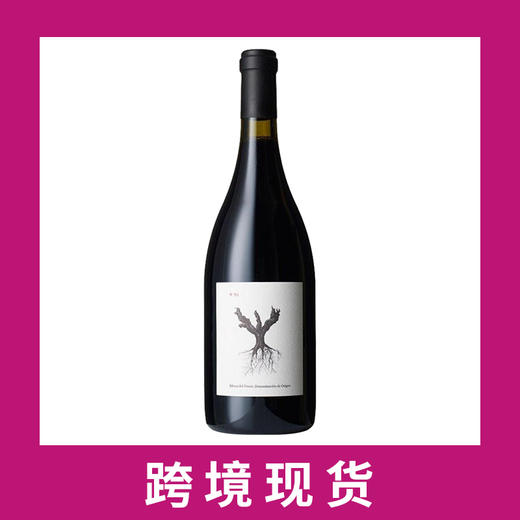 平古斯PSI干红葡萄酒2020 Dominio de Pingus 'PSI', Ribera del Duero, Spain 商品图0
