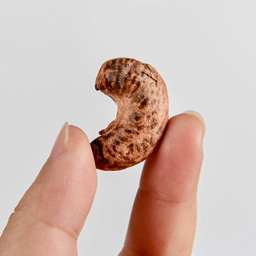 【锄头扁担 带皮盐焗腰果】带皮盐焗腰果 原料越南进口  特大颗粒 香浓酥脆 A180腰果 净含量100g/罐 商品图5