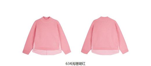jnby  23年秋款  假俩件长袖套头毛衫  1N9313130 商品图14