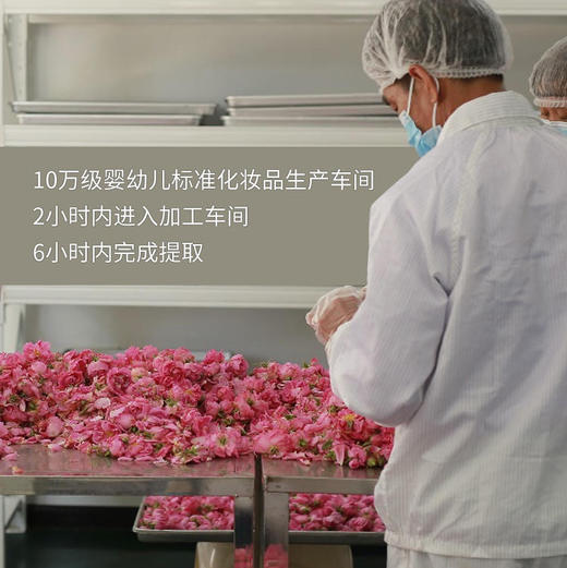 头道纯露/陪伴到老！含有精油的大马士革玫瑰纯露！ding级的食用玫瑰，4斤鲜花1斤水蒸馏萃取，保加利亚官方合作基地纯种种苗，自然农法种植，桃花源中有玫瑰! 商品图4