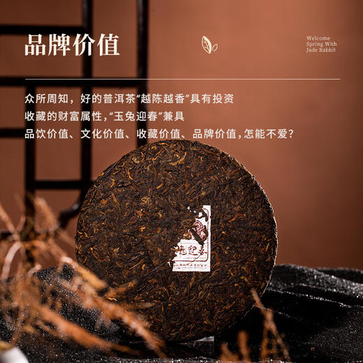 陈升号 2023年玉兔迎春357g（熟茶） 商品图6