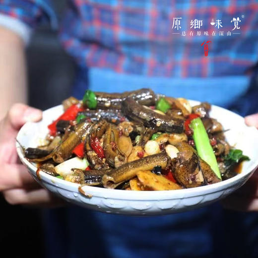 【需等，不接急单】野生黄鳝/鳝鱼【基地直发-顺丰包邮】 | 来自四川南部县大山，捕捞者：赵天勇【公平贸易，合作生产】 商品图0