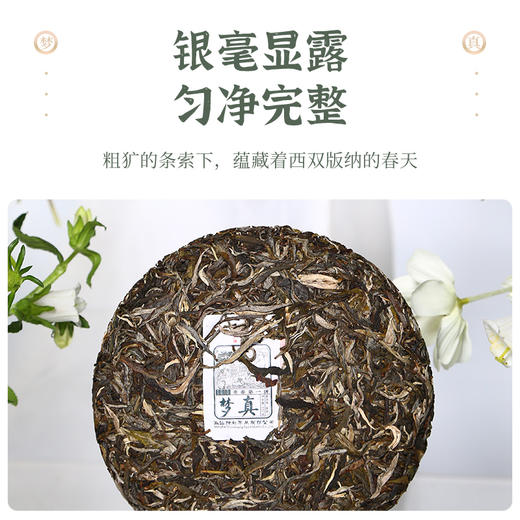陈升号 2021年梦真357g（生茶） 商品图2