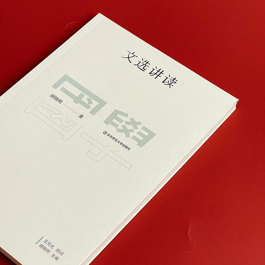 国学名著讲读系列 文选讲读 华东师范大学中文系名师解读国学经典 详细注释 难点分析 文史拓展 商品图3