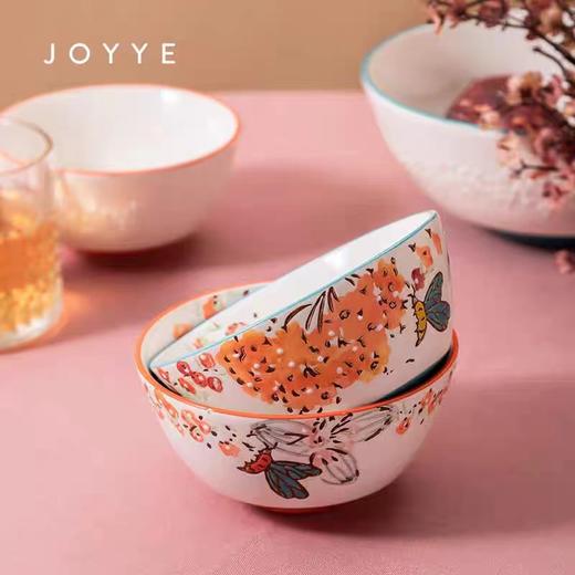 JOYYE系列碗盘套装4人份饭碗4个12*12*6CM    8英寸盘2个21*@！*3.8CM   7英寸小吃盘17.8*17.8*2.5CM   10英寸盘1个蘸料碗2个大汤碗1个芸香木筷子4双 商品图5