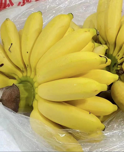 周六送，海南皇帝蕉，香蕉中的贵族 ，“蕉”香四溢，个头娇小却果肉饱满，营养价值更是一等一的高。小小的身体内蕴含着饱满的果肉，特有的软糯口感，皮薄如纸，让人无法抗拒，一箱5斤左右 商品图2