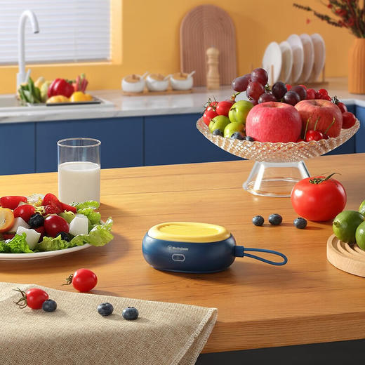 西屋Westinghouse果蔬清洗机WGS31【LXJY2.9】 商品图1