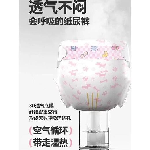【吸水透气】宠乐见狗狗尿不湿宠物纸尿裤公狗母狗专用生理裤10片 商品图3