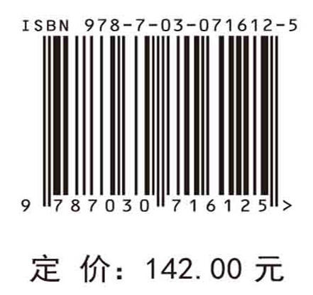 城市关键基础设施运行风险分析与应对 商品图2