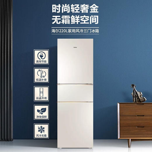 海尔/冰箱/BCD-220WMGL 商品图3