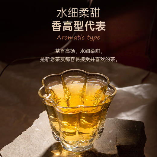 陈升号 2023年那卡饼茶357g（生茶） 商品图1