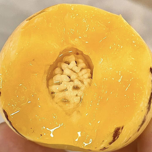 【云田人参果】清甜多汁 商品图3