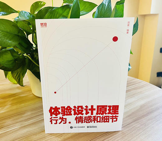 体验设计原理：行为、情感和细节 周雷 产品设计三大维度 解决设计问题 电子工业出版社 商品图2