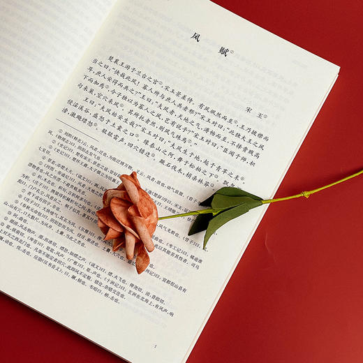 国学名著讲读系列 文选讲读 华东师范大学中文系名师解读国学经典 详细注释 难点分析 文史拓展 商品图8