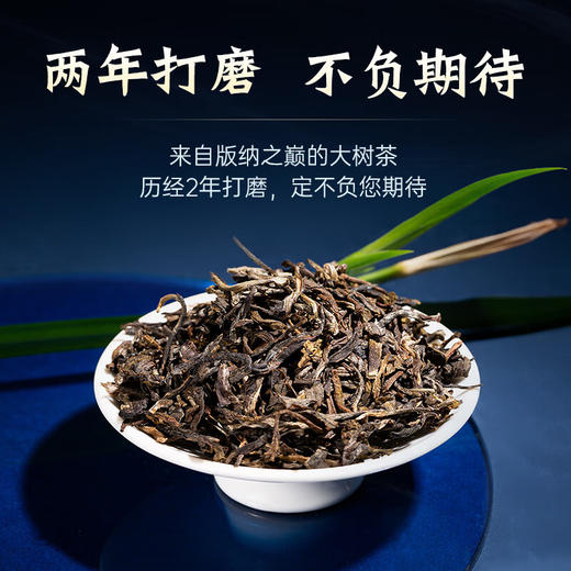 陈升号 2023年滑竹梁子357g（生茶） 商品图3