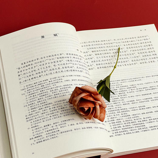 国学名著讲读系列 文选讲读 华东师范大学中文系名师解读国学经典 详细注释 难点分析 文史拓展 商品图9